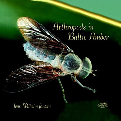 Arthropods in baltic amber
