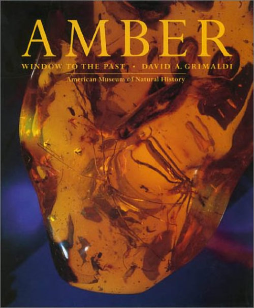 Amber Book