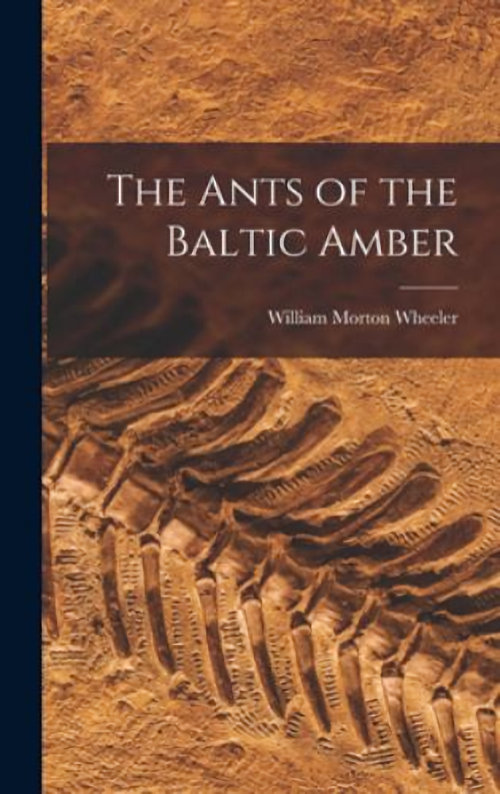 Ants of baltic amber