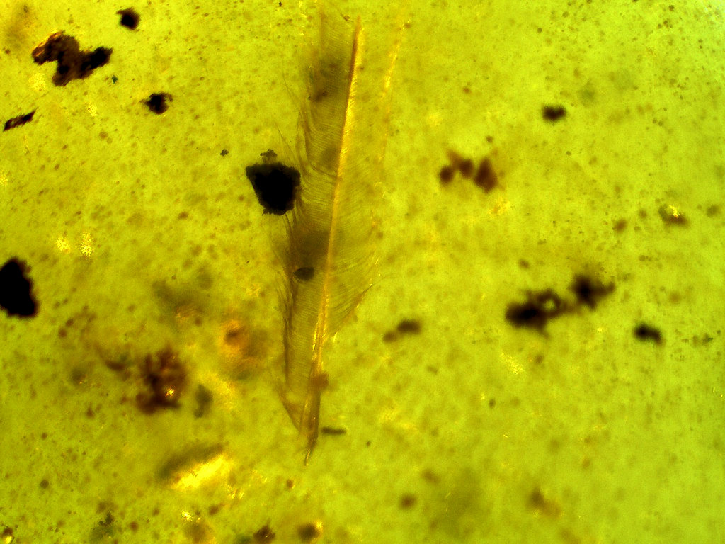 2f.jpg