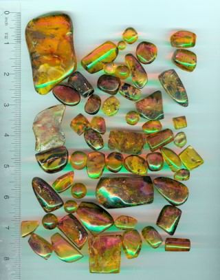 collection2sm.jpg