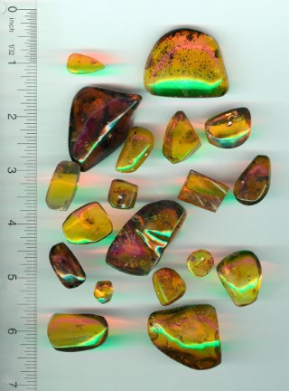 collection5sm.jpg